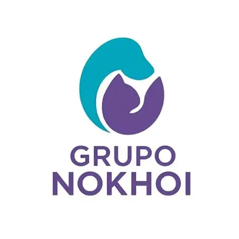 Grupo Nokhoi